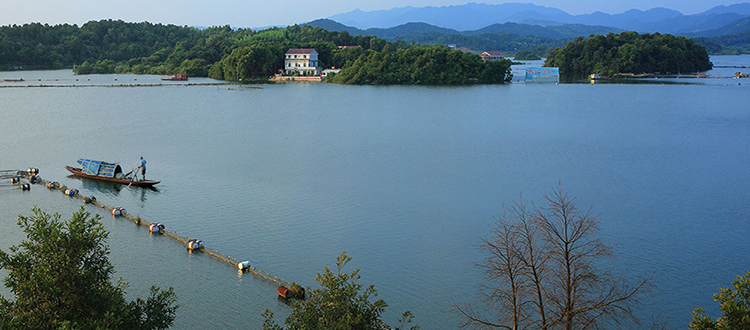 广州白云惠华心（陈洞基地）拓展基地