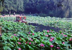 增城莲塘村拓展基地